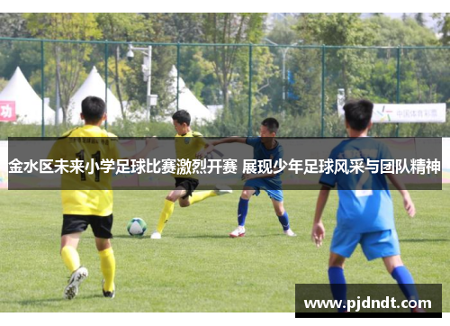 金水区未来小学足球比赛激烈开赛 展现少年足球风采与团队精神